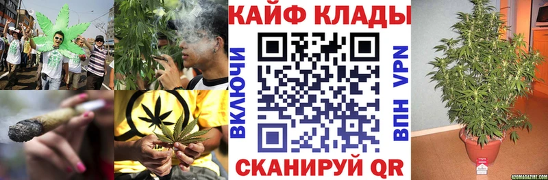 Где найти наркотики Большой Камень Кокаин  кракен маркетплейс  Каннабис  ГАШ 