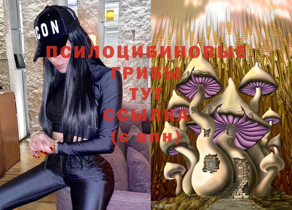 не бодяженный Аркадак