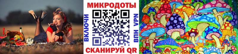 Псилоцибиновые грибы Cubensis Большой Камень