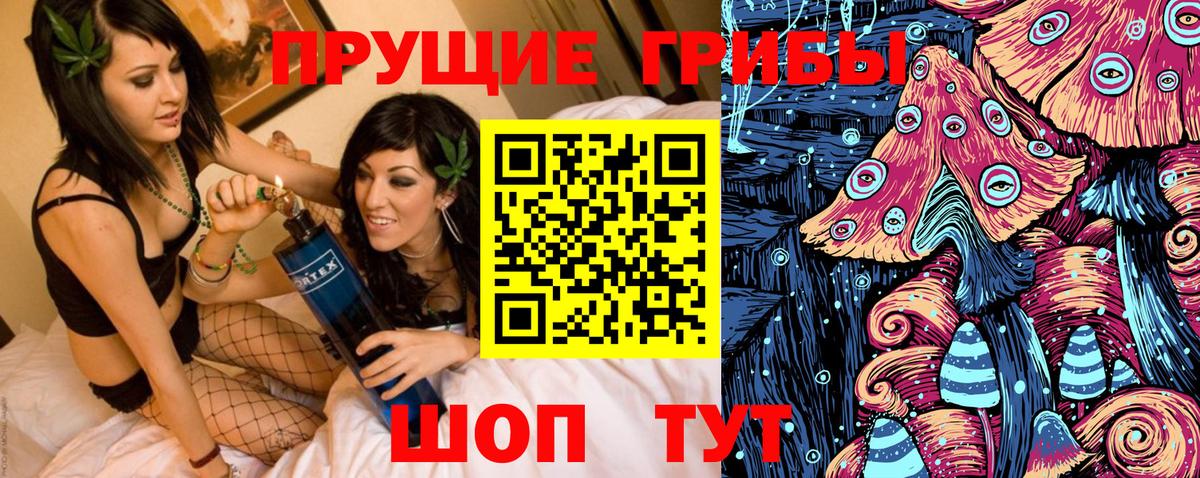 Галлюциногенные грибы Psilocybine cubensis Большой Камень