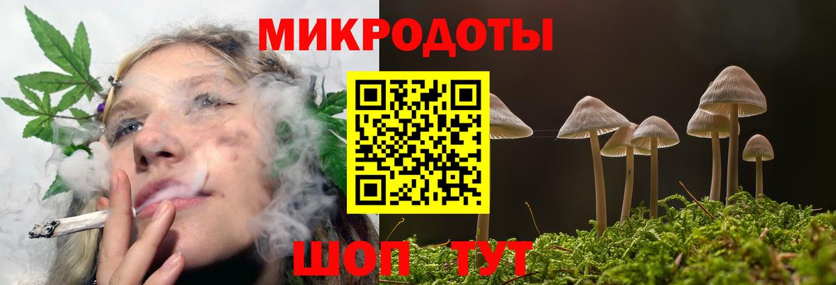 Большой Камень  Псилоцибиновые грибы Psilocybe  Галлюциногенные грибы Psilocybe  Вход с VPN 